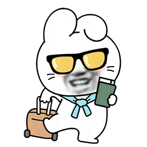 沙雕表情包你好好一个女孩子不抽烟不喝酒
