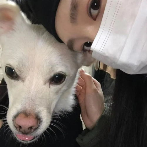 头像一眼爱上的个性头像