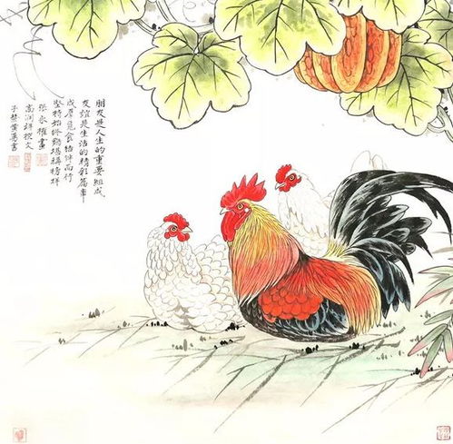 生肖鸡,属鸡女和哪个生肖配