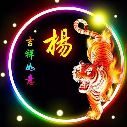 杨姓12生肖精美微信头像壁纸全套