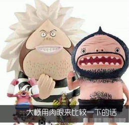 没有对比没有伤害,海贼王居然如此矮,身高最高的居然是布鲁克