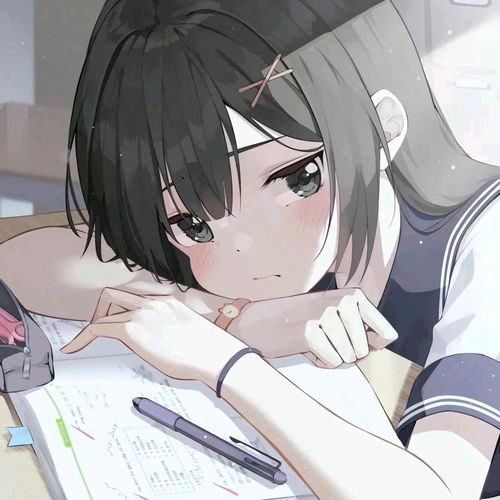 可爱二次元女头十七
