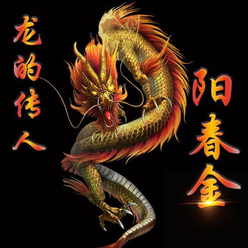 微信头像姓名头像龙的传人中国霸气龙,你会喜欢