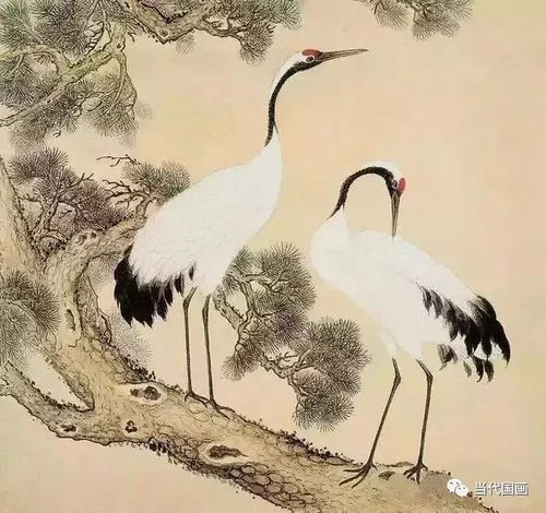 国宝级清宫鸟谱图,太美了