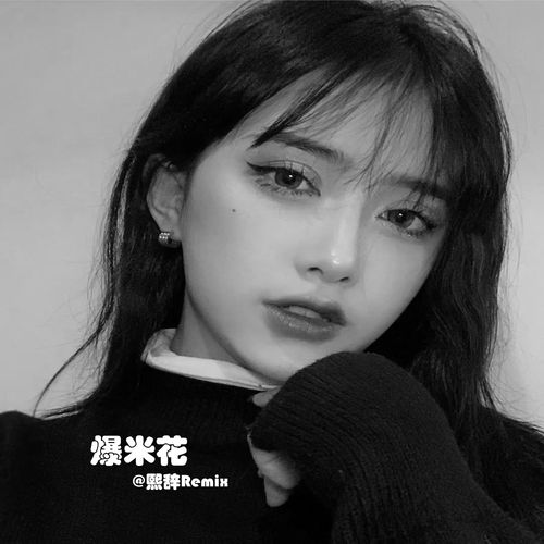 上了生活的贼船就做快乐的海盗remix熙辞高音质在线试听上了生活的贼船就做快乐的海盗remix歌词歌曲下载酷狗音乐