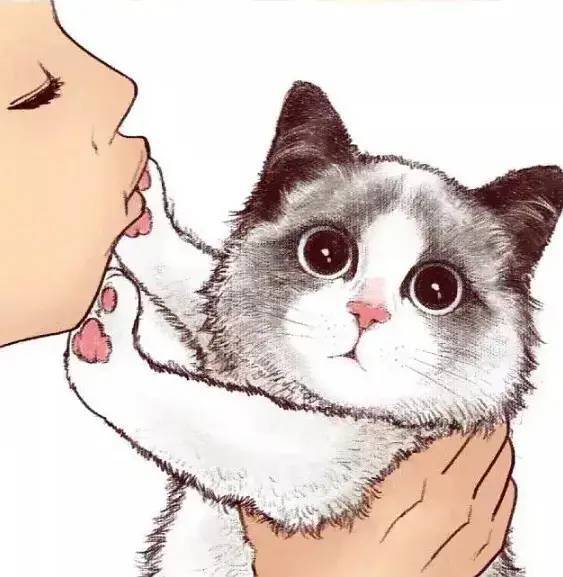 猫咪是怎么拒绝亲亲的好灵活的防守哈哈哈哈