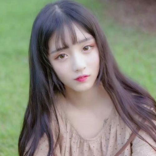 少女温柔眉眼