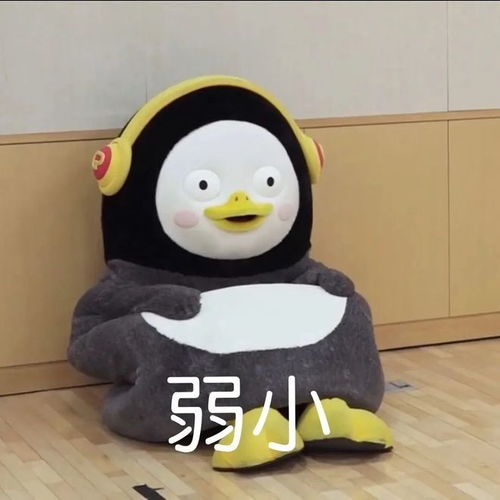 幽默搞笑表情包想不想做大哥的女人
