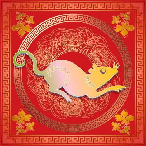 好看而又独特的头像图片女生生肖鼠