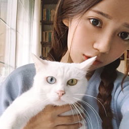 你是猫系女还是犬系女各有这些特征