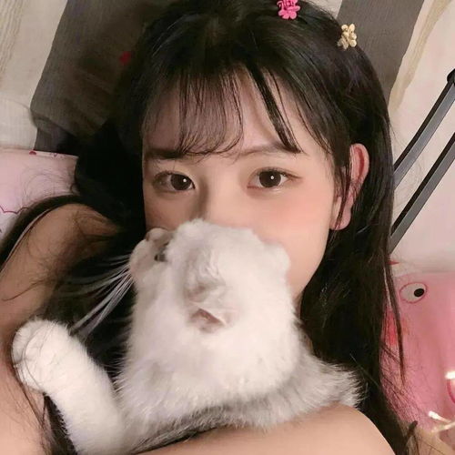 头像图片丨女生头像丨可爱的猫系女头1214