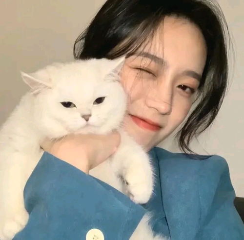 好看的小众少女头像从别的公众号扒的,拿走不谢
