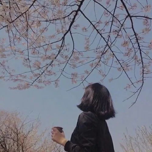 别怀疑,你的头像已经出卖了你的性格
