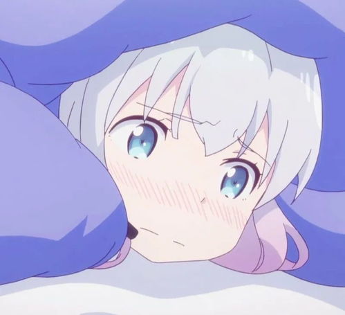 无标题
