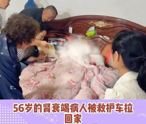 这是犯罪甘肃56岁老人恳求别拔管,子女做法让网友火力全开