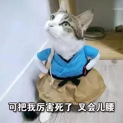 短发剪的对,小圆脸也能瘦一圈