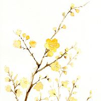 微信古风头像高清