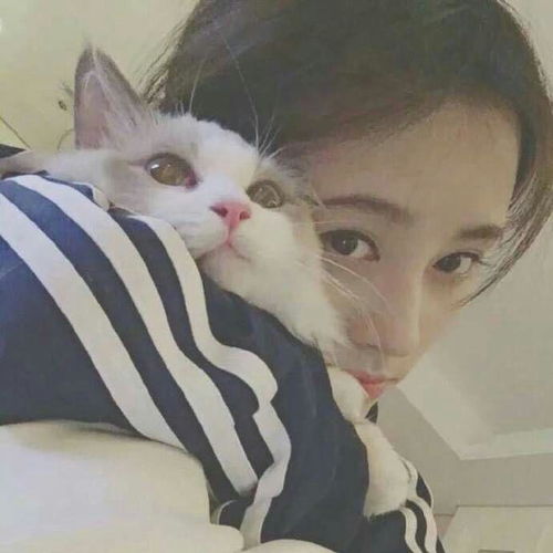 微信头像怎样才能吸引注意