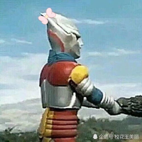 搞笑沙雕情侣头像
