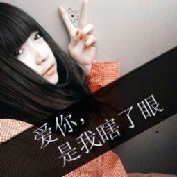 再见