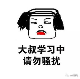 考研人都在用的社交头像,你喜欢哪一款
