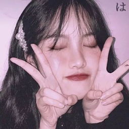 头像有些人怀念不一定就要相见