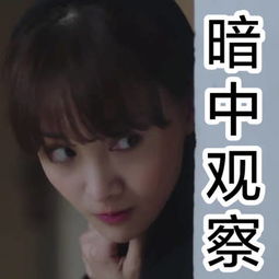 郑爽表情包