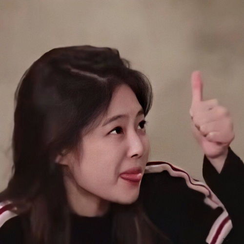 有啥沙雕女头啊