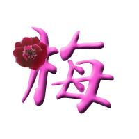 谁给我弄一个动态的带梅字的头像