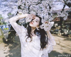 moon工作室写真樱花唯美女孩女头像欧美堆糖,美好生活研究所