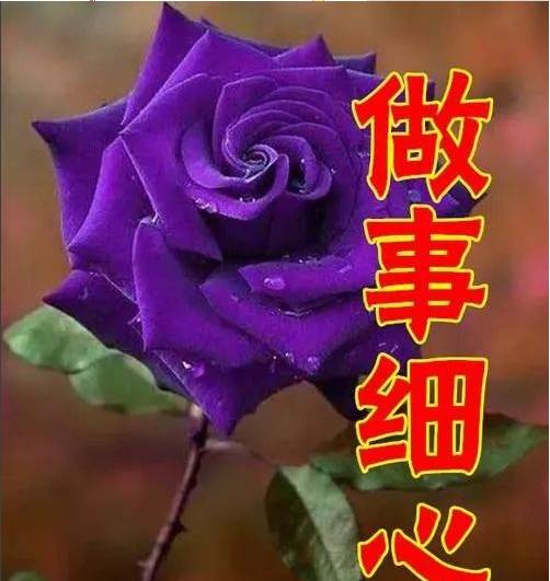 今天女人节,最美祝福送给天下所有女人,都看看
